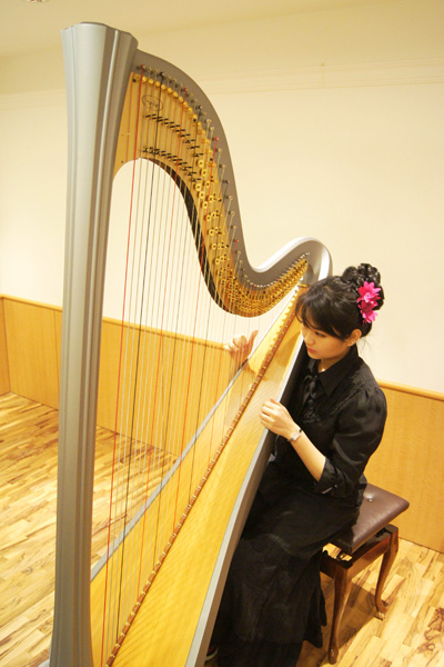 harpist salvi 1