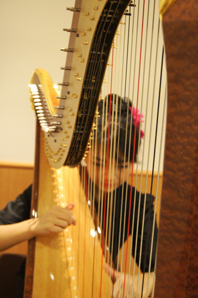 harpist salvi 2