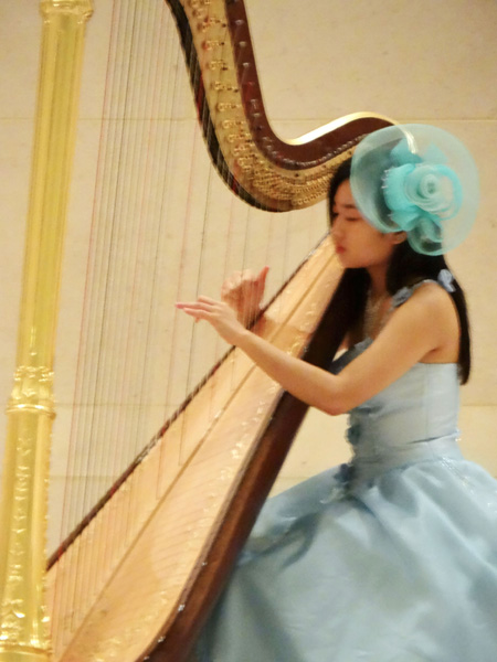 harpist salvi 3