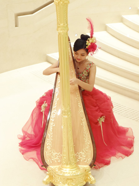 harpist salvi 4