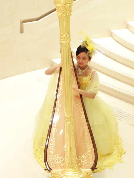 harpist salvi 5