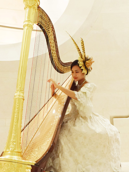 harpist salvi 7